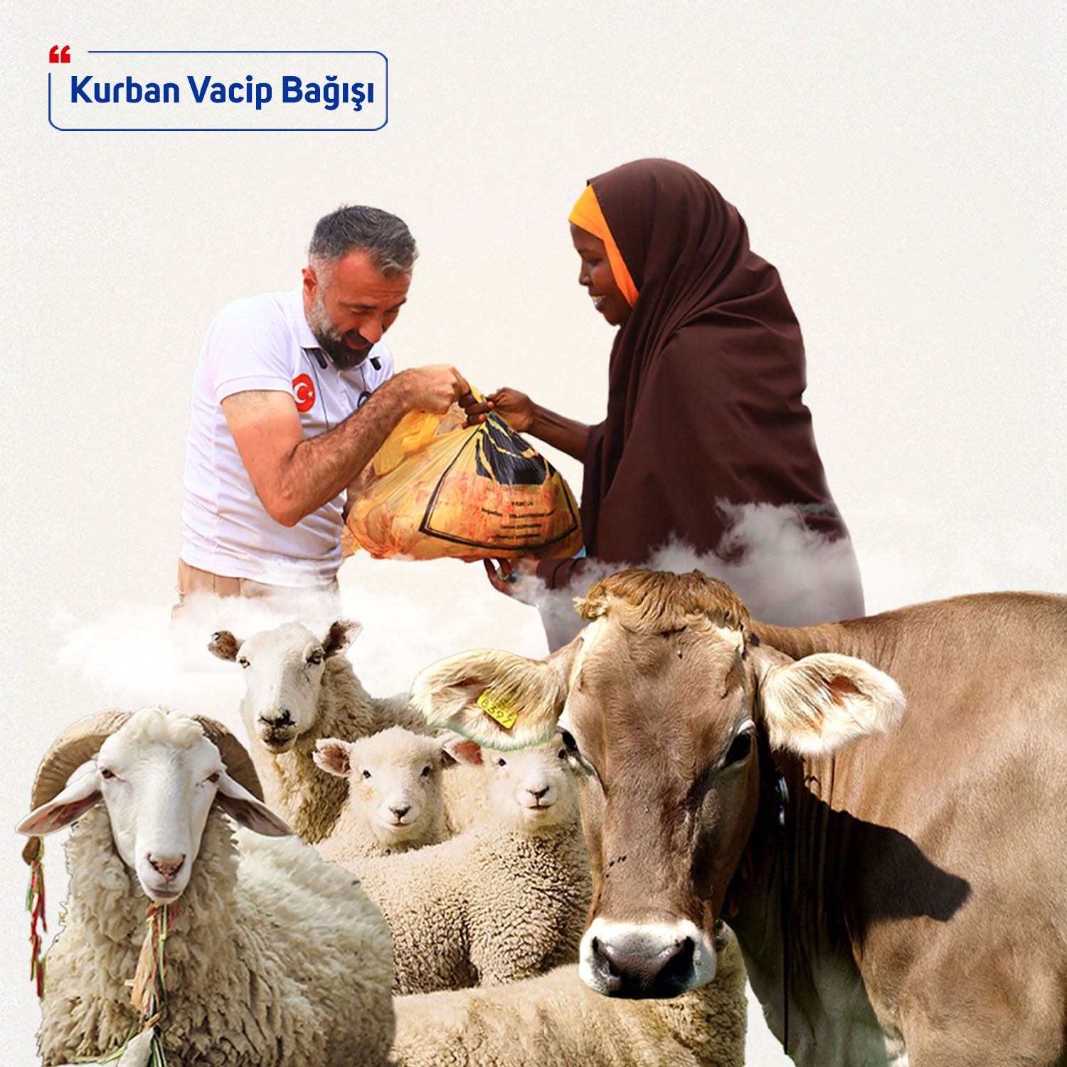Vacip Kurban Bağışı