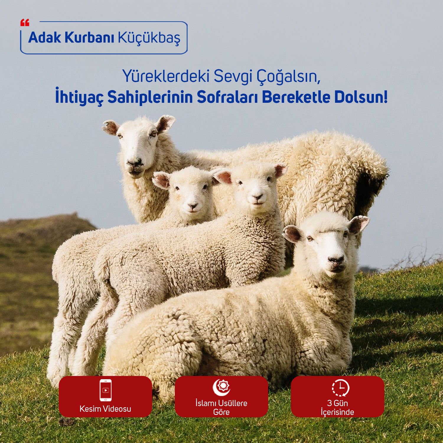 Adak-Akika-Sadaka Kurbanı Adak-Akika-Sadaka Kurbanı